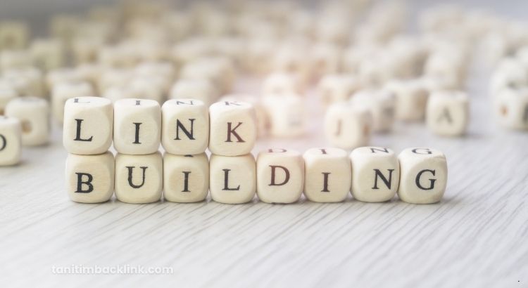 Why Turkish Websites Are Underrated in Link Building